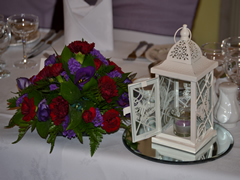 Plum Chair Sashes